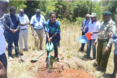 Prof. Bancy Mati , Director, Water Research and Resource Center (WARREC ) plants a tree
