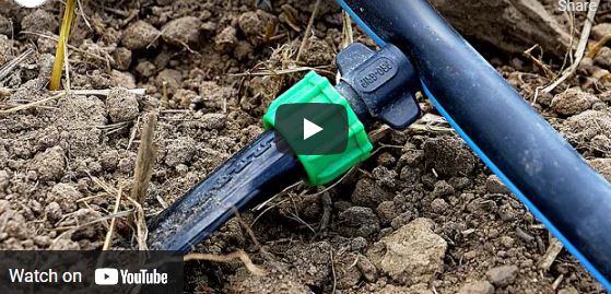 Video -How to Install a Simple Drip Irrigation System for Your ...