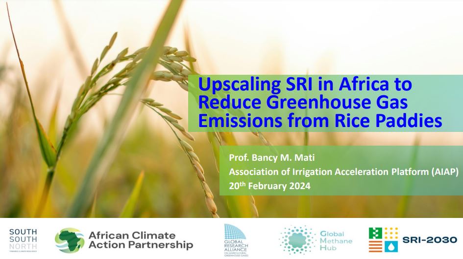 Upscaling SRI in Africa to Reduce Greenhouse Gas Emissions from Rice ...